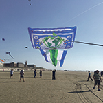 World Record kite team praise biggest, gentlest pallet box