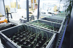 Electromechanical Assembly Services from NSF Controls