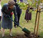 Vision Engineering first Surrey business to support the ‘Queen’s Green Canopy’ initiative